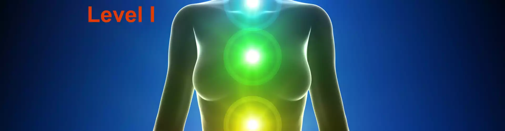 Understanding Your Energetic System: Chakras and the Outer Bodies - Online Class by Cindy Griffith