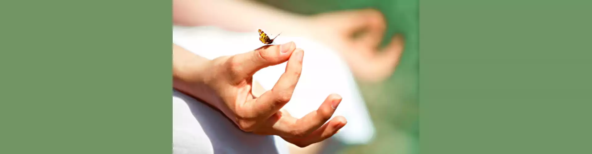 Méditation guidée par les animaux spirituels pour enfants et adultes