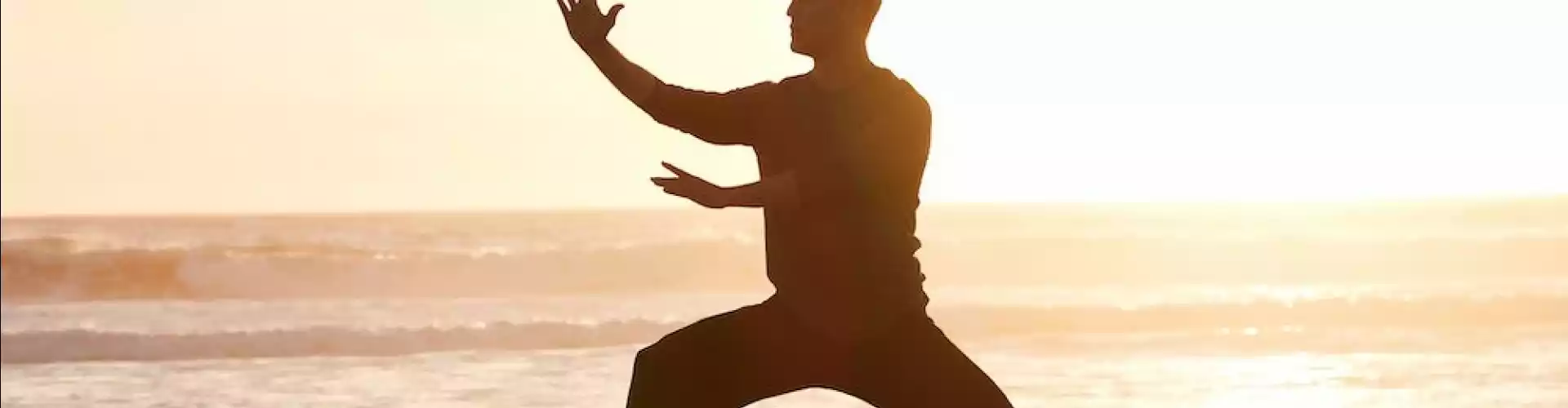 Práticas Diárias de Qigong - Online Class by Cassaundra Paolini